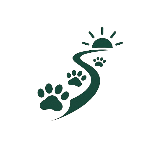 Daytrace Logo